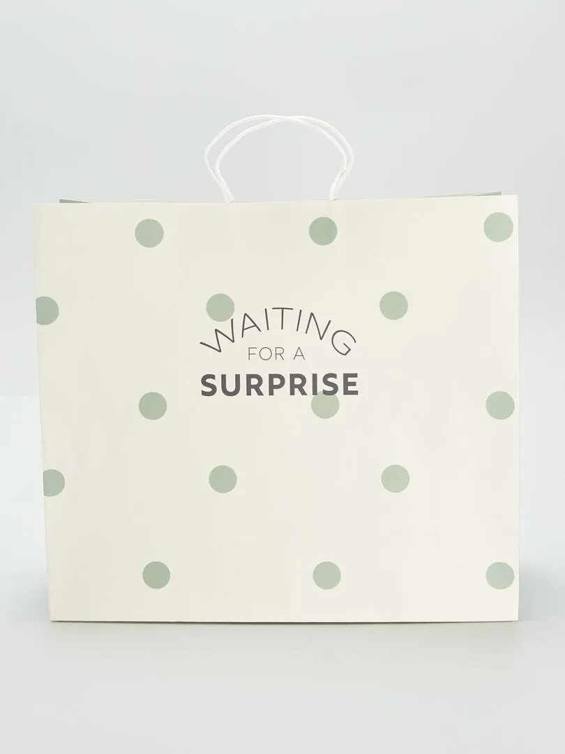 BOLSA DE REGALO  VERDE