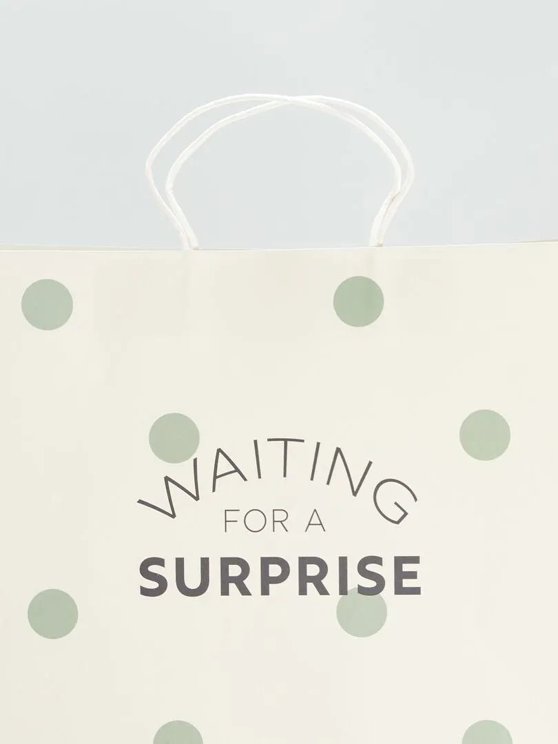 BOLSA DE REGALO  VERDE