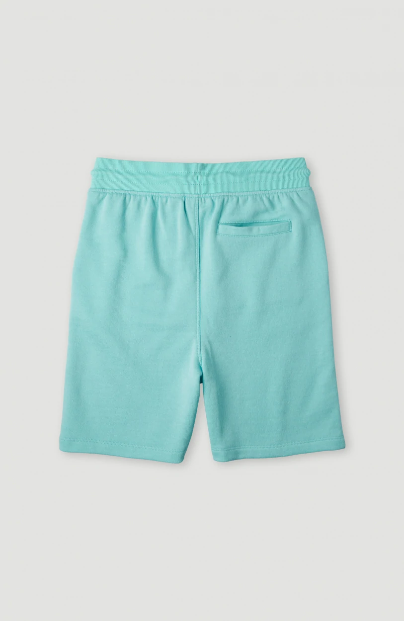 Pantalón corto O’NEILL chándal para niño CIRCLE SURFER SWEATSHORTS aqua Ref. 4700003 azul agua