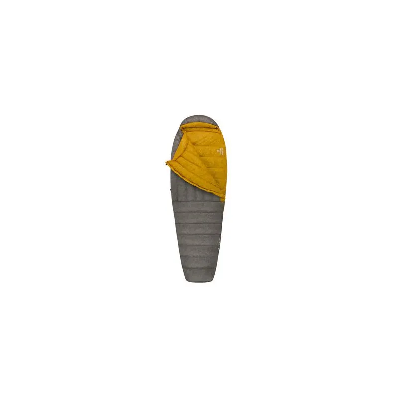 Saco de dormir Sea to Summit Spark SP2 (Gris/Amarillo)