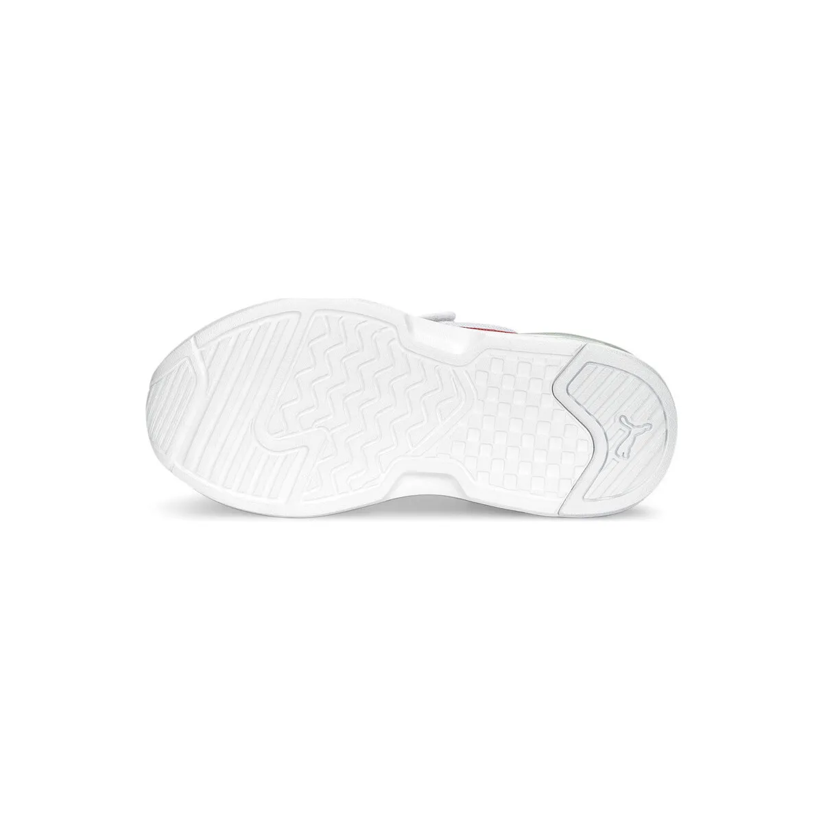 XRAY SPEED LITE AC PS